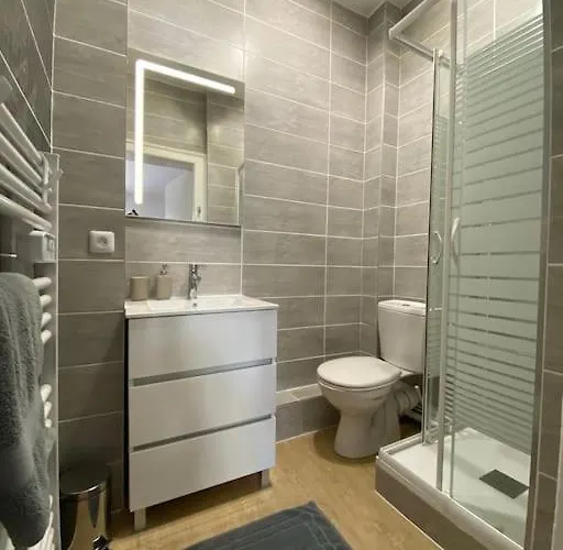 Apartament Le New York Appart' T1 Bis Au Centre Du Mans Le Mans